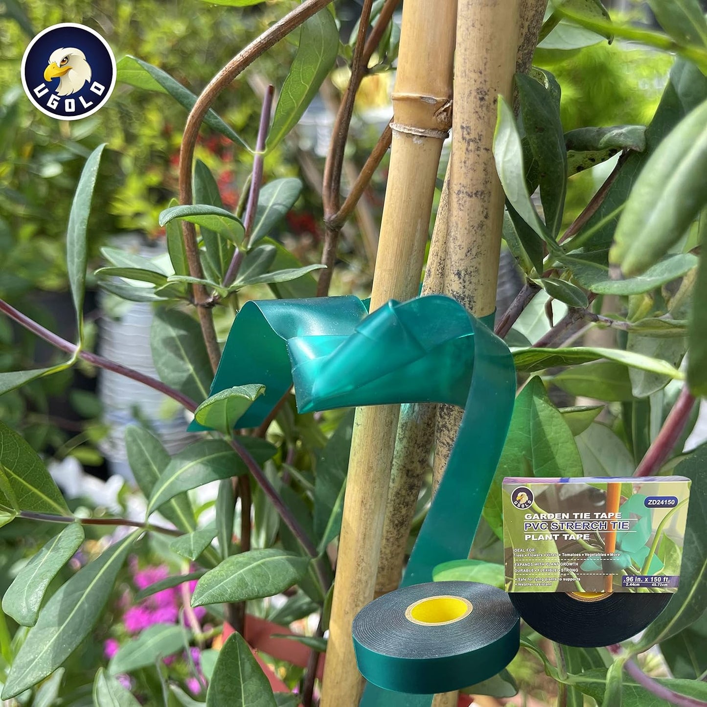 8 mil Extra Thick 150 Feet x 1'' Stretch Plant Tie Tape, Garden Tie for Planting and Grafting, Plant Ribbon for Tomatoes, Grapes and Trees, Green Tie Tape, Garden Stake for Vinyard