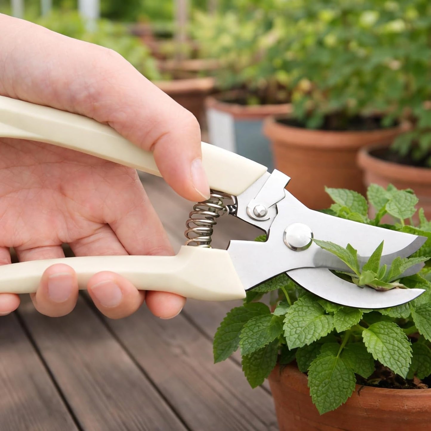 Pruning Shears, 2Pcs Pruning Shears for Gardening,Professional Garden Shears for Flowers, Bonsai and Fruits Picking (1pc Straight & 1pc Curved)