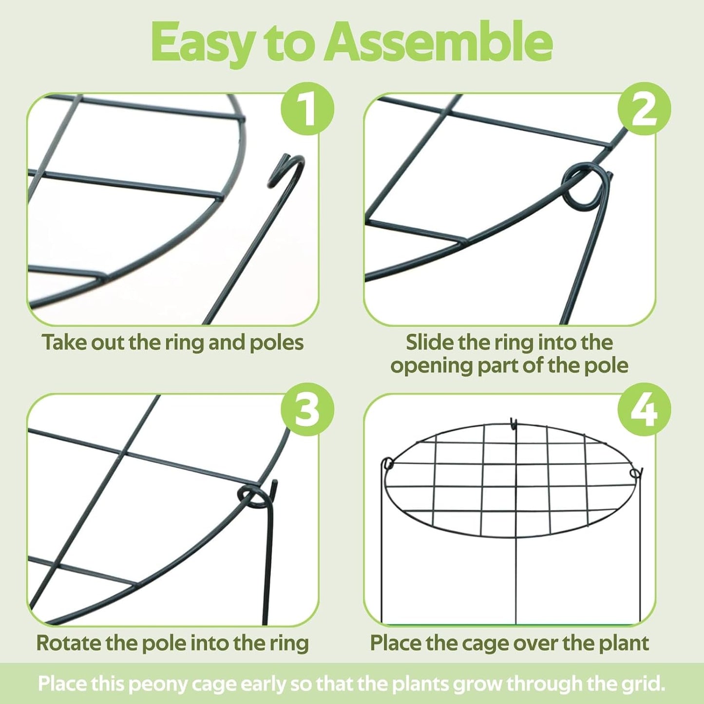 8 Pack Peony Cages and Supports - Grow Through Plant Support for Outdoor Plants - Sturdy Metal Support Frame for Peonies, Roses Flower Garden Cage - Wide Top Rings Bouquet Shape 12" D x 16" H