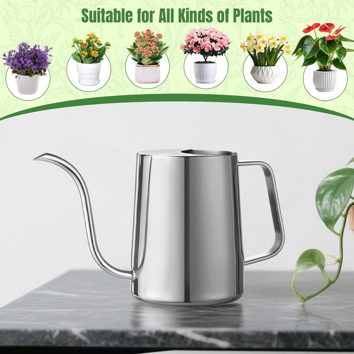 Small Watering Can for Indoor Plants, Plant Watering Can, 12 oz