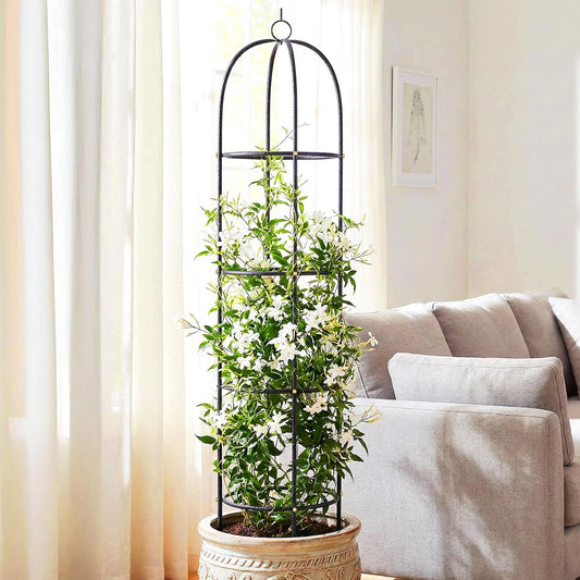 Metal Trellis for Climbing Plants Outdoor, 2026 Upgrade 100% Metal with Powder Coating, Rose, Flowers, Grape, Pea, Cucumber Tomato Cage - 6.3 FT Freestanding Plant Support