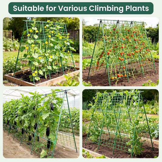 50" x 48"Cucumber Trellis for Raised Garden Bed, Green
