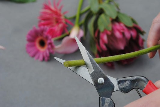 Bud Cutting Shears No. 304