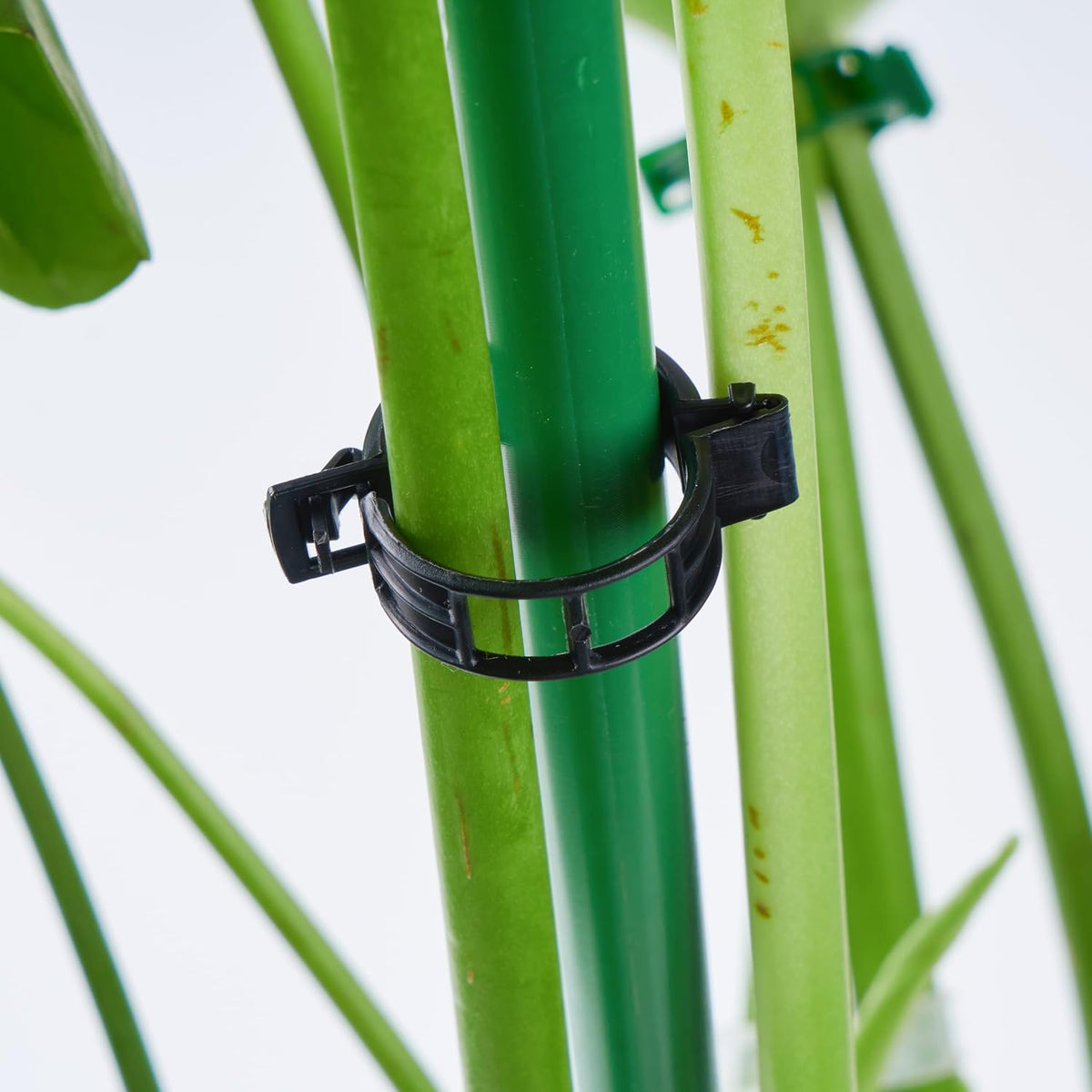 100Pcs Garden Vine Plant Support Clips Tomato Clip
