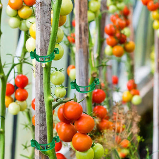 100PCS Green Plastic Support Clips, Tomato Clips, Garden Clips, Trellis Clips, Vine Clips for Climbing Plants to Prevent Tomatoes from Pinching or Falling Off