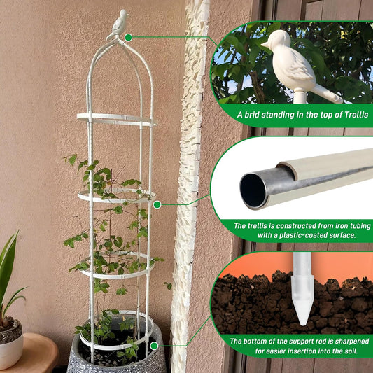 Garden Trellis for Climbing Plants, Rustproof Metal Pipe with Heavy Duty 6ft, Garden Outdoor Indoor Potted Plant Support(White)
