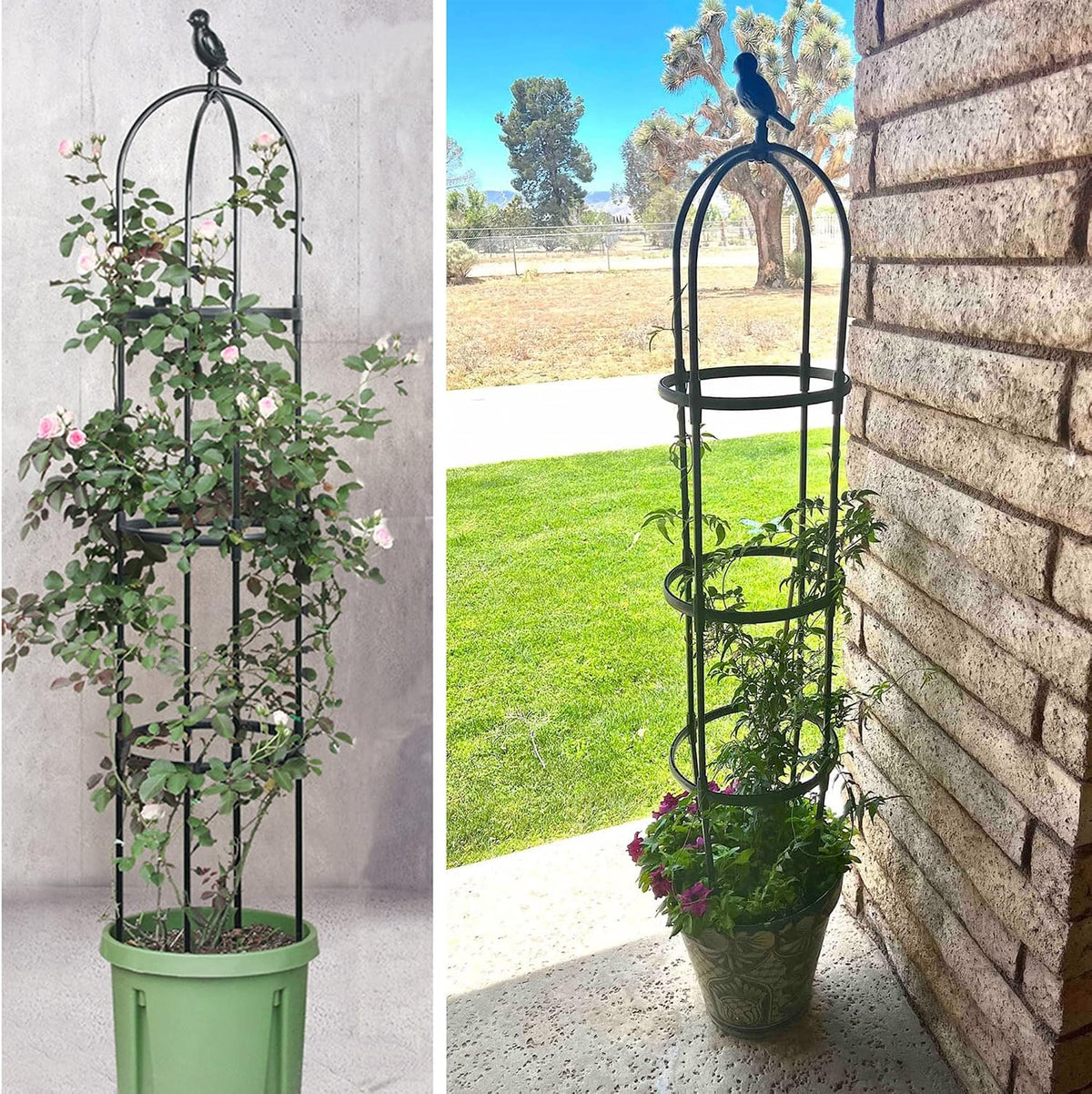 Garden Trellis for Climbing Plants, Rustproof Metal Pipe with Heavy Duty 6ft, Garden Outdoor Indoor Potted Plant Support(White)