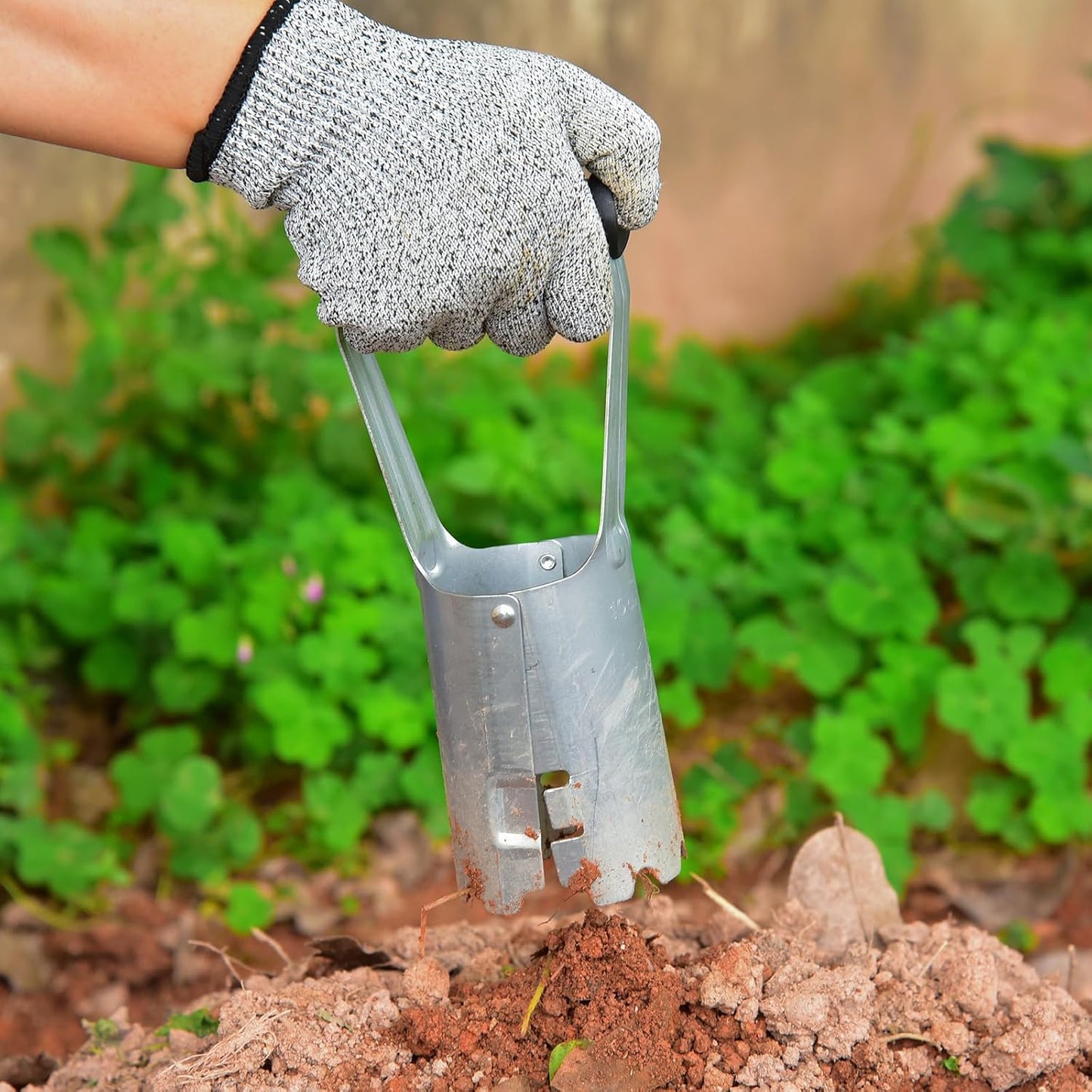 Bulb Planter, Bulbs Transplanter for Digging Holes