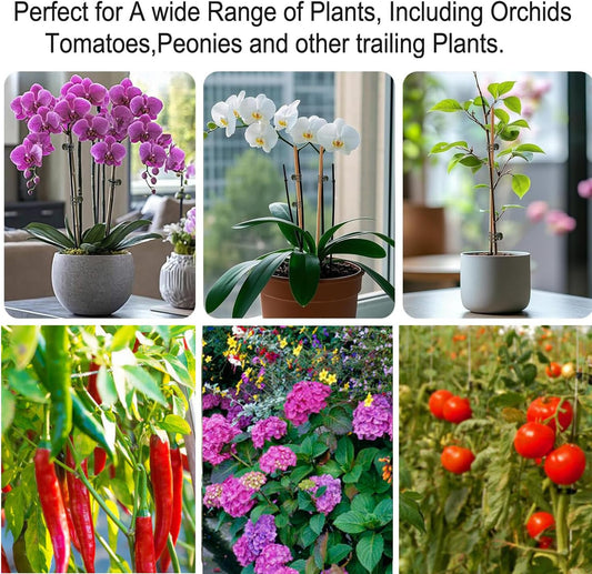 Plant Clips Orchid Clips Plants Orchid Support Clips 50Pcs Flower Vine Clips for Supporting Stems Vines Stalks Climbing Plant Grow Upright (Green, 0.6x0.86in) (Green, 0.6x0.86in)