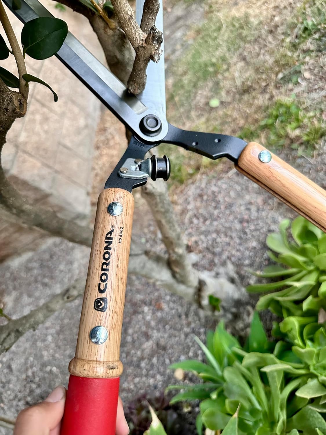 Corona HS 6960 Forged Hedge Shear, 10-Inch Blade