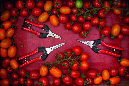 F320 Pruning Snips – 6" Garden Clippers with Curved Blade & Rounded Tip | Pruning Shears for Gardening | Garden Snips and Pruners with Carbon Steel Blade, Sap Groove