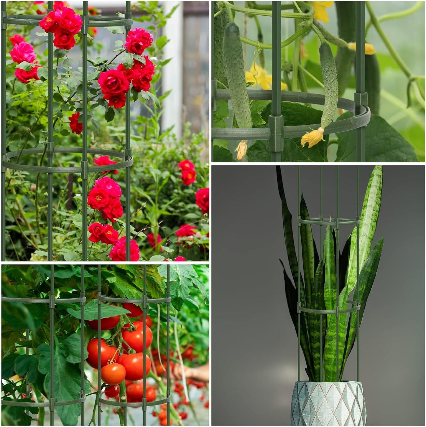 Round Heavy Duty Tomato Cage - 55 Inch Steel Core Plastic Coated Garden Trellis, 4-Post Rustproof Plant Support for Tomato/Cucumber/Beans, No Tools Snap Assembly, Spare Parts Available 1PS