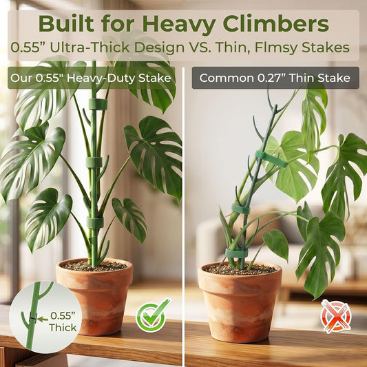 Heavy-Duty Monstera Plant Support Stakes - 10-Piece Stackable Sticks
