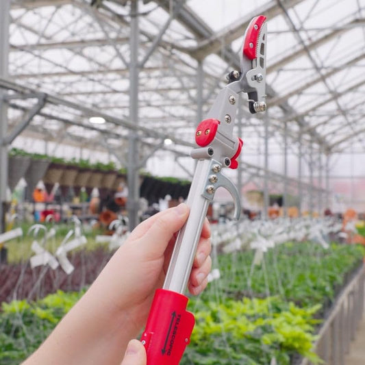 Telescoping Long-Reach Cut-and-Hold Pruner