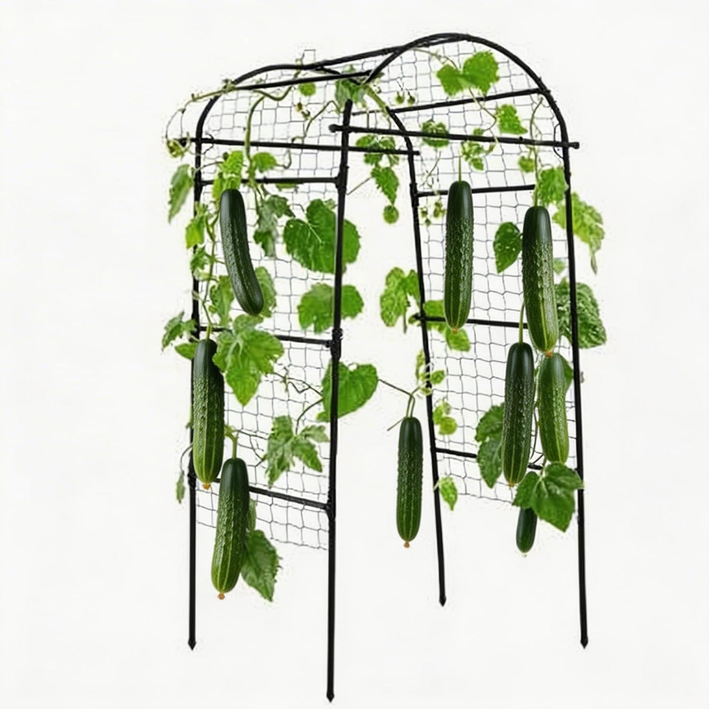 7.5FT Metal Garden Arch Trellis Arbor with Netting, Adjustable Width Pergola for Climbing Plants, Flowers, and Vegetables, Weather-Resistant, Easy Assembly for Outdoor Weddings & Events