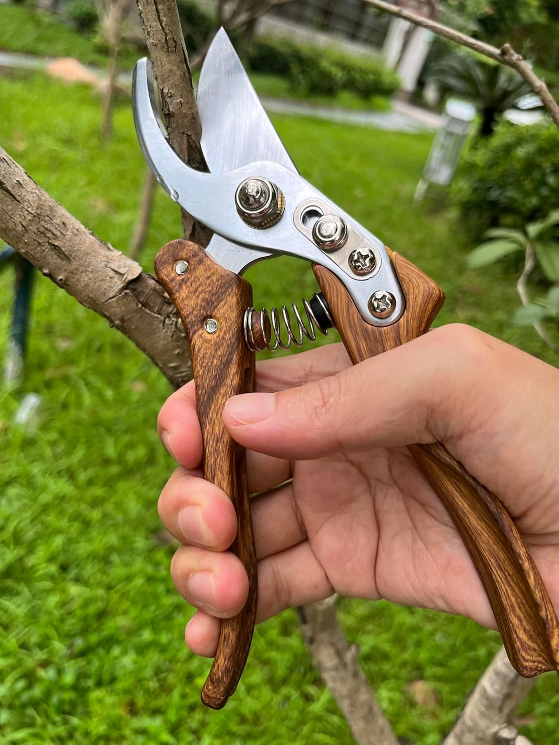 Pruning shears for gardening, Floral cutter, German Stainless Steel Blades, 1 inch Cut Capacity, Garden Snips for flowers with Non-Slip Handle, Lightweight & Ergonomic Professional