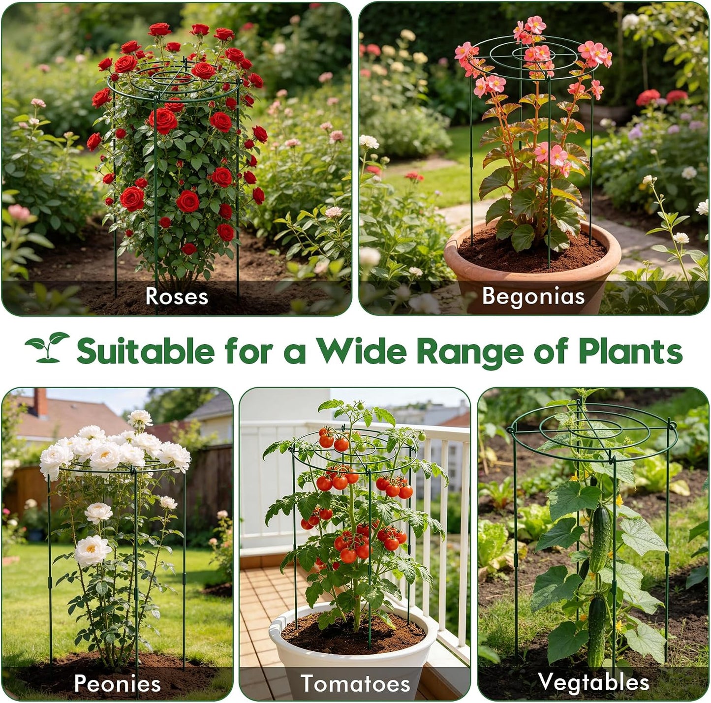 8 Pack 11.5" Dx24 H Pack Peony Cages Set Higher Peony Cages and Supports Heavy Duty Metal Plants Support Cage for Outdoor Green Support Rings for Flower Strawberry Tomato Hydrangeas