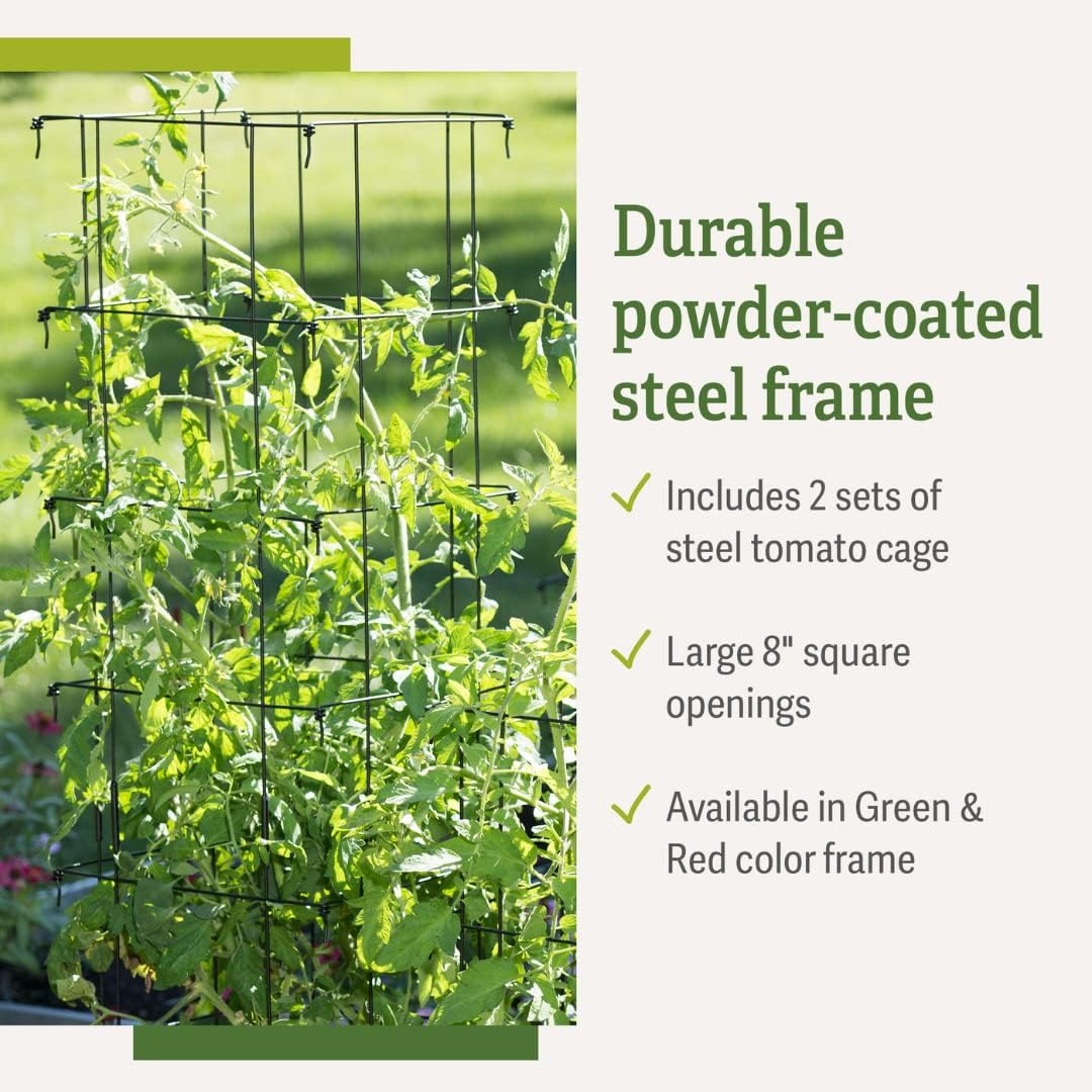 Extra Tall Heavy-Guage Square Tomato Cages | Easy Fold Plant Supports & Vegetable Garden Stakes | 14.25" x 14.25" x 65" - Green (Set of 2)