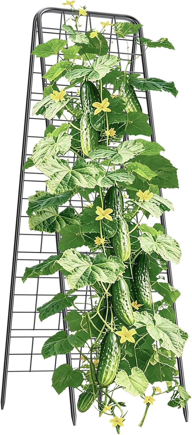 100% Metal Cucumber Trellis for Raised Bed,62"x17" A-Shape Garden Plant Support for Climbing Plants, Heavy Duty Metal Garden Trellises Plant Support for Vine Vegetables Outdoor (Black, 62x17inch(H*W))