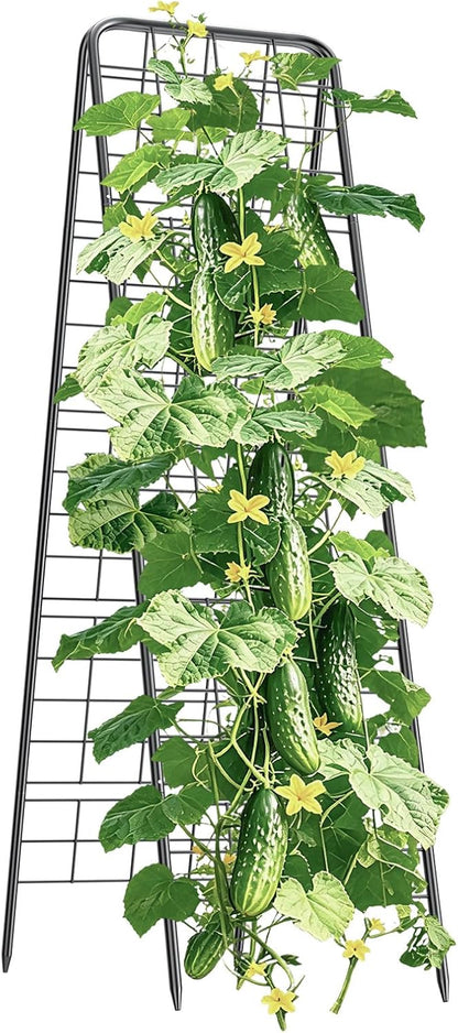 100% Metal Cucumber Trellis for Raised Bed,62"x17" A-Shape Garden Plant Support for Climbing Plants, Heavy Duty Metal Garden Trellises Plant Support for Vine Vegetables Outdoor (Black, 62x17inch(H*W))