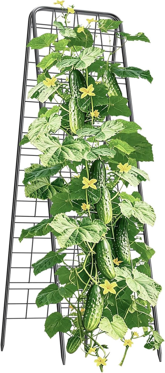 100% Metal Cucumber Trellis for Raised Bed,62"x17" A-Shape Garden Plant Support for Climbing Plants, Heavy Duty Metal Garden Trellises Plant Support for Vine Vegetables Outdoor (Black, 62x17inch(H*W))
