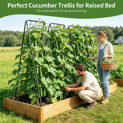 100% Metal Cucumber Trellis for Raised Bed,62"x17" A-Shape Garden Plant Support for Climbing Plants, Heavy Duty Metal Garden Trellises Plant Support for Vine Vegetables Outdoor (Black, 62x17inch(H*W))