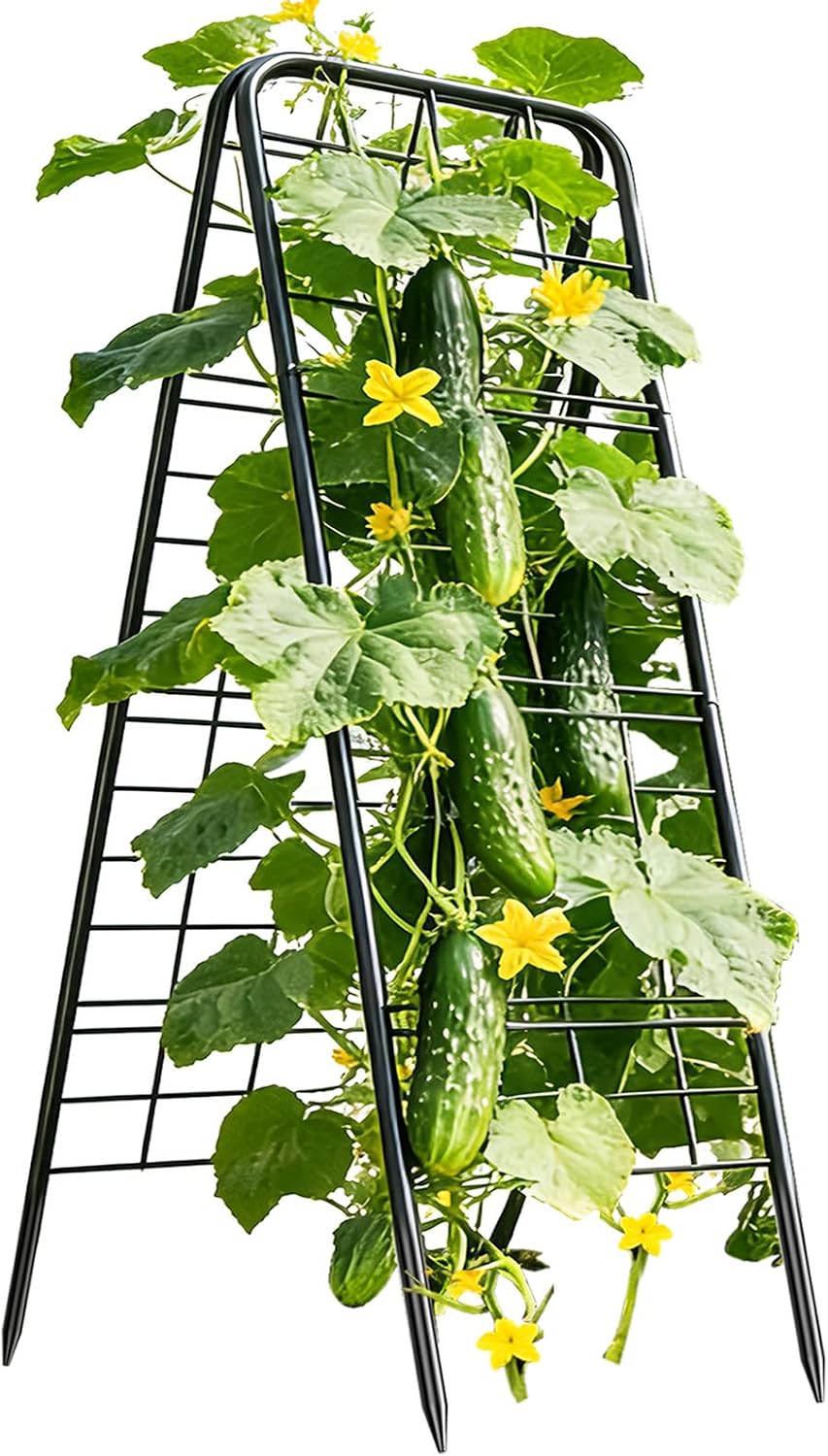 100% Metal Cucumber Trellis for Raised Bed,62"x17" A-Shape Garden Plant Support for Climbing Plants, Heavy Duty Metal Garden Trellises Plant Support for Vine Vegetables Outdoor (Black, 62x17inch(H*W))