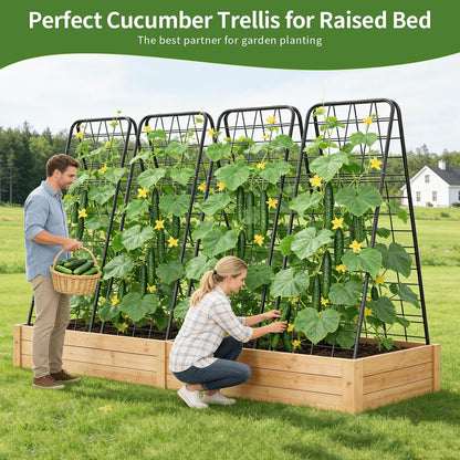 100% Metal Cucumber Trellis for Raised Bed,62"x17" A-Shape Garden Plant Support for Climbing Plants, Heavy Duty Metal Garden Trellises Plant Support for Vine Vegetables Outdoor (Black, 62x17inch(H*W))