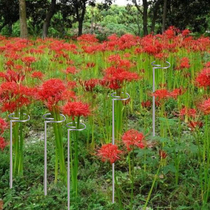 30 Inch Or 16 InchPlant Stakes for Flowers - 5 Pack, Adjustable Height