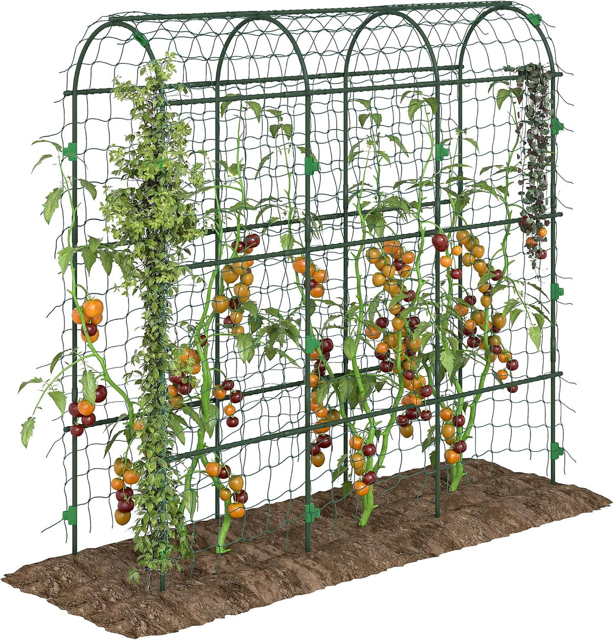 Cucumber Trellis 6' Tall Arch Trellis for Climbing Plants, Green