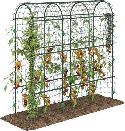 Cucumber Trellis 6' Tall Arch Trellis for Climbing Plants, Green