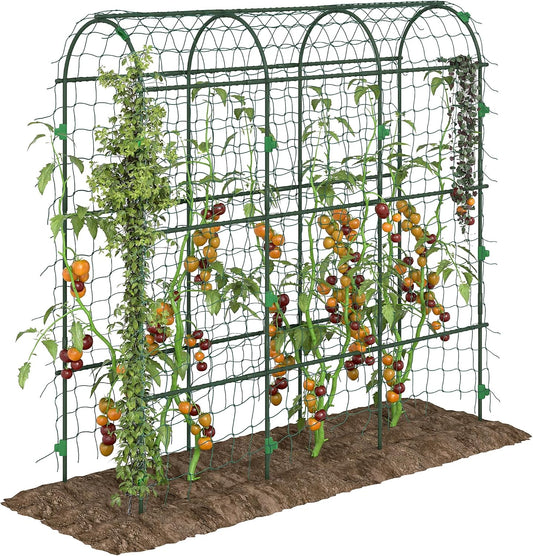 Cucumber Trellis 6' Tall Arch Trellis for Climbing Plants, Green