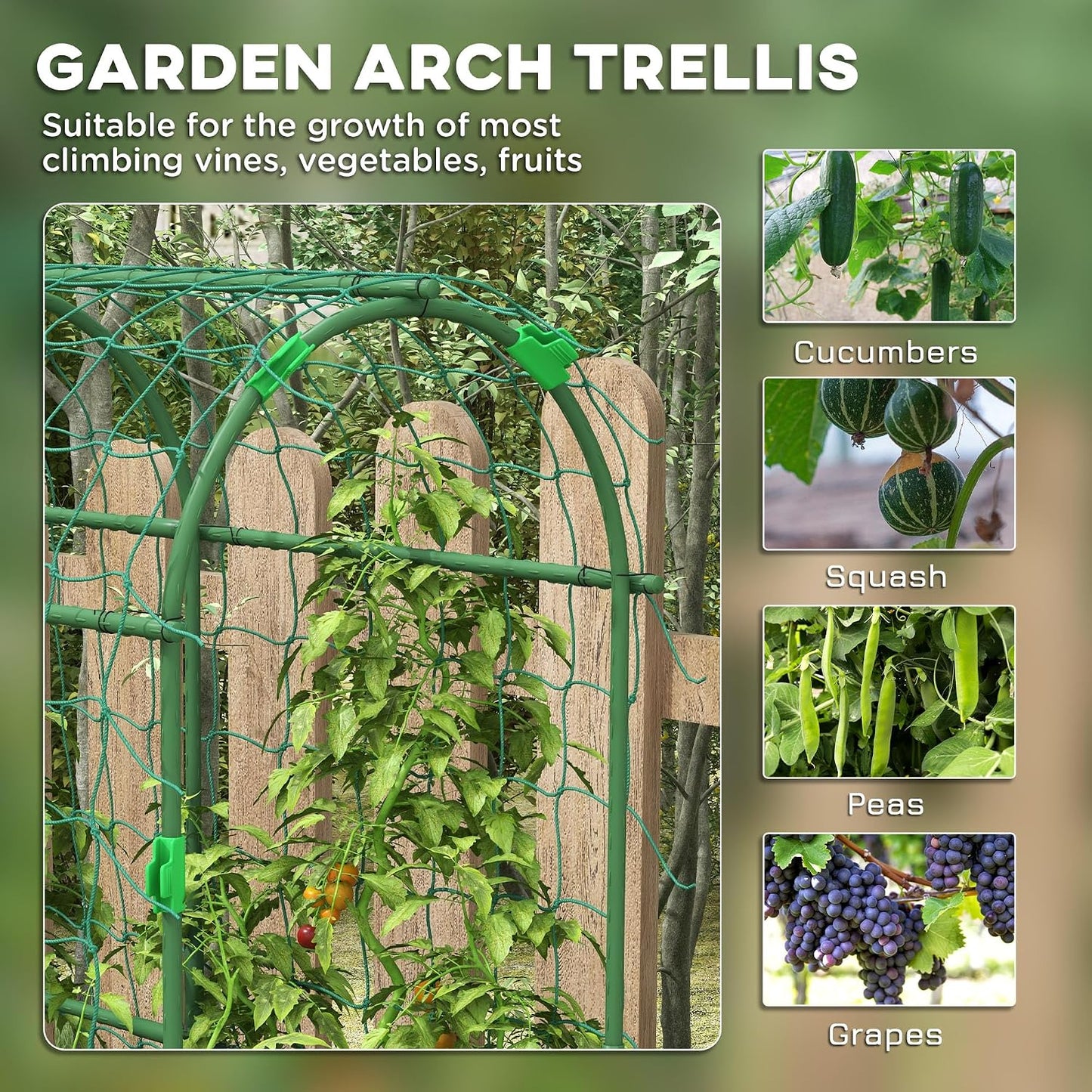 Cucumber Trellis 6' Tall Arch Trellis for Climbing Plants, Green