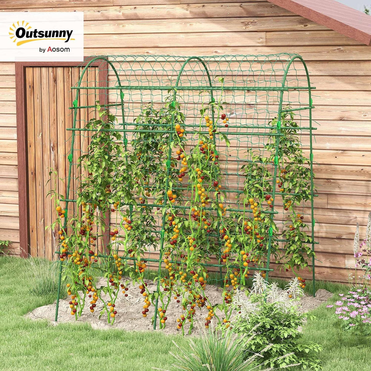 Cucumber Trellis 6' Tall Arch Trellis for Climbing Plants, Green