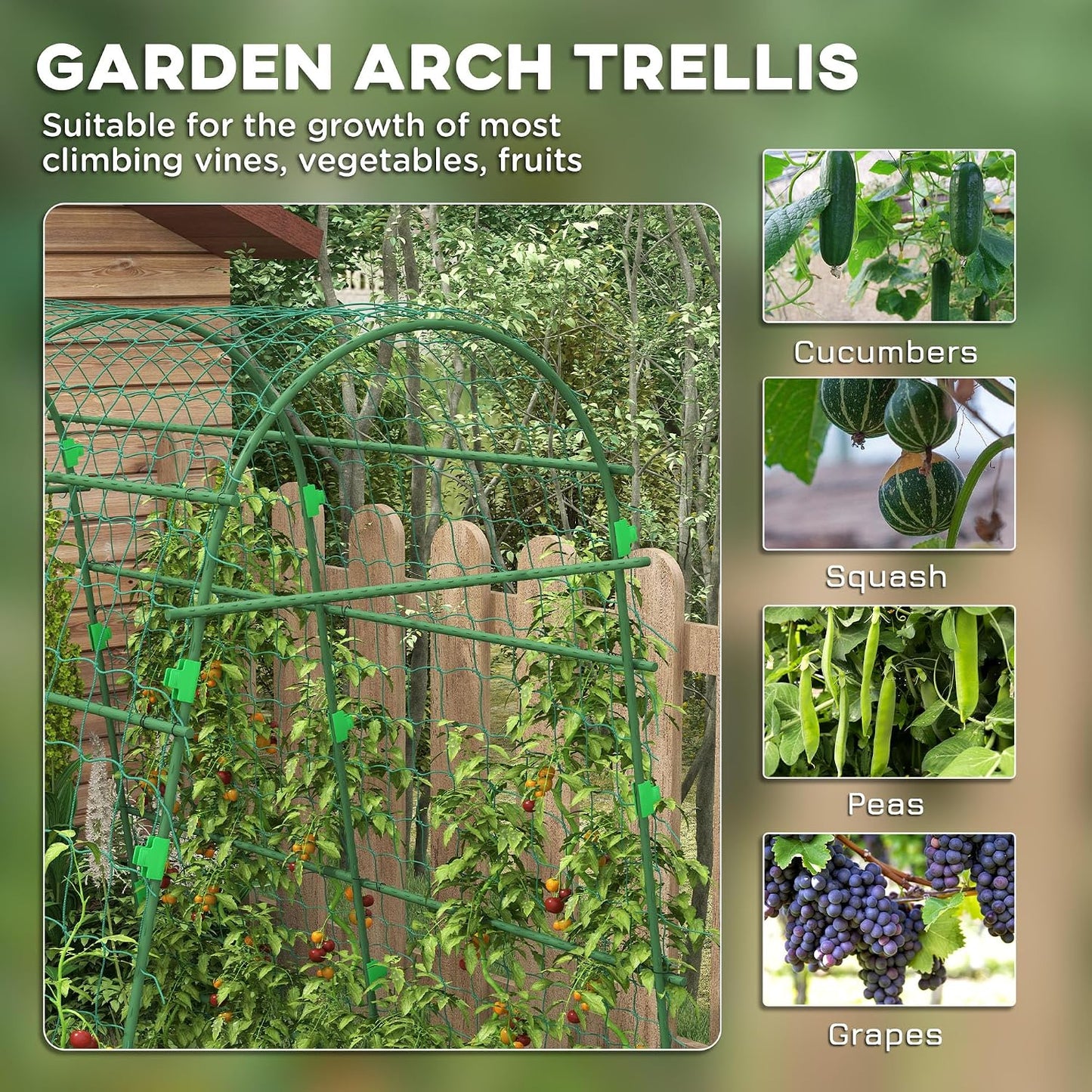 Cucumber Trellis 6' Tall Arch Trellis for Climbing Plants, Green