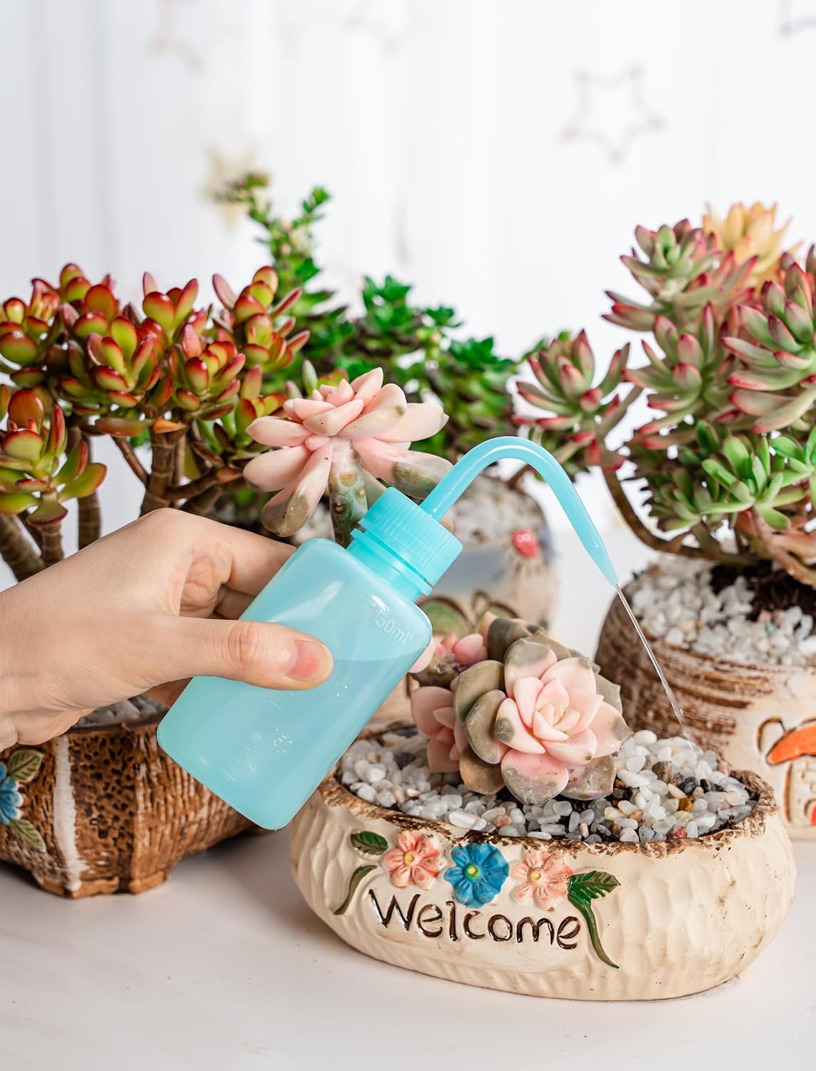Tattoo Wash Bottle Squeeze, 2Pcs 500ml Squirt Bottle Succulent Watering Can, Safety Rinse, Lab Washing, Tattoo Supplies, Lash Water Squeezer, Black