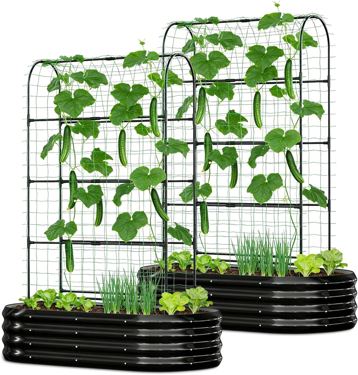 3 in 1 Galvanized Raised Garden Bed with 87" H Arch Trellis