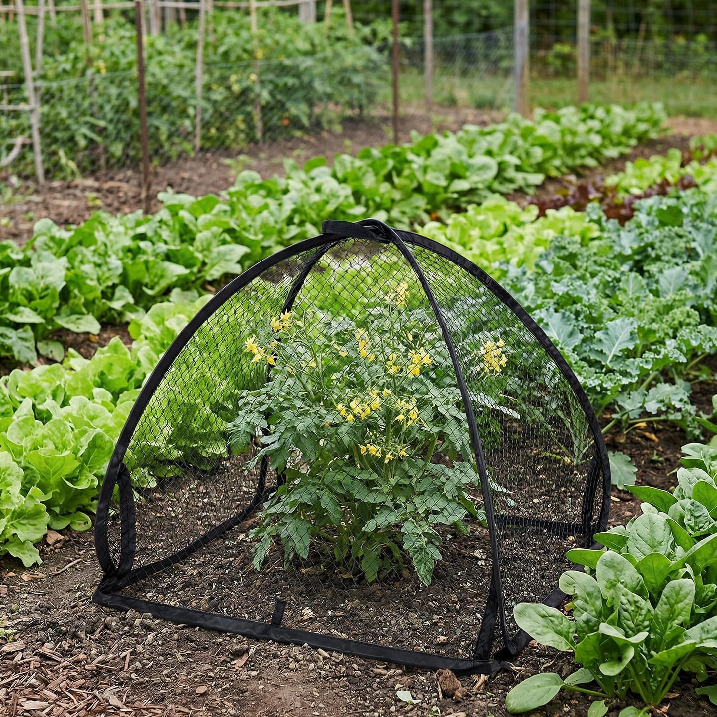 2 Pcs Pop-Up Mesh Plant Cover Tent, 30 x 28 in Garden Net Cage Guard Cover