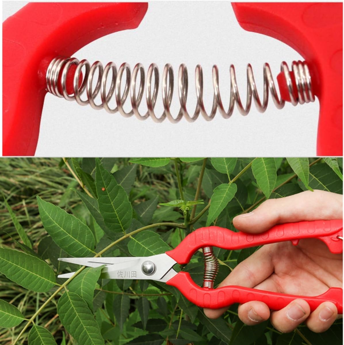 Extra Long Edge Stainless Steel Pruning Shears Fruit Trees Bonsai Sharp Garden Scissors Tool