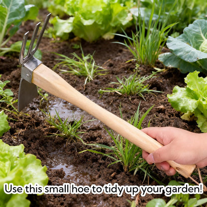 Hoe Rake Stainless Steel Blade Small Hoe Beech Handle Garden Tools Cultivator Hand Tiller for loosening Soil Weeding Digging