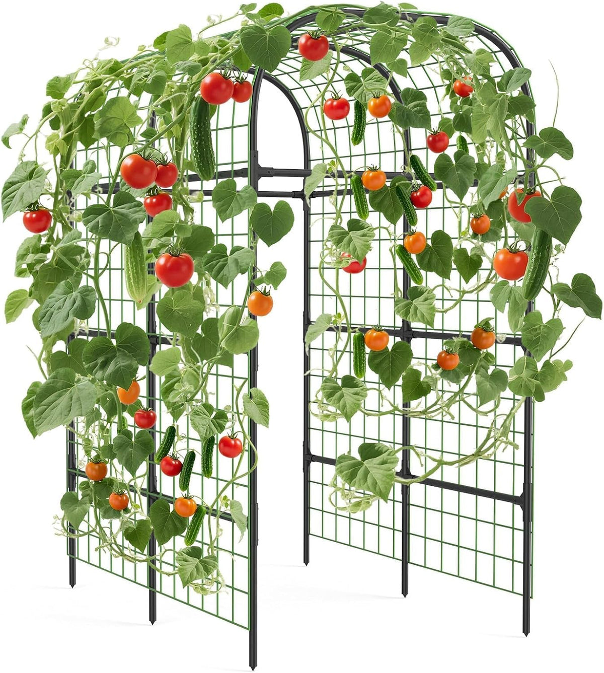 Metal Garden Arch Trellis, 7.3Ft Black for Raised Beds, Plant Support for Cucumbers & Climbing Vegetables