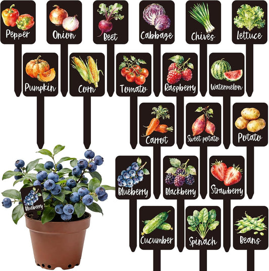 20Pcs Watercolor Vegetable Fruit Plant Label Signs, 20 Styles