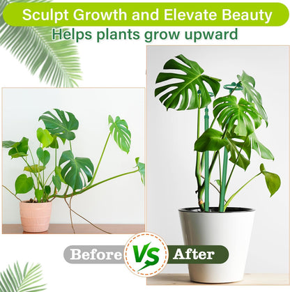 Extendable Monstera Plant Stakes, Support Sticks with Clips 5 Pack