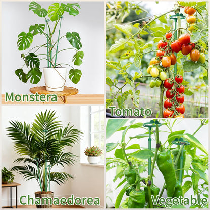 Extendable Monstera Plant Stakes, Support Sticks with Clips 5 Pack
