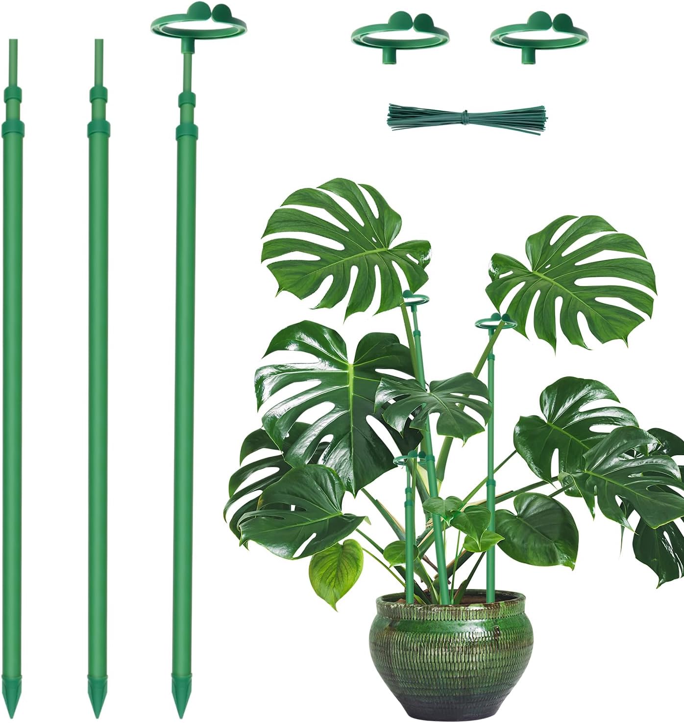 Extendable Monstera Plant Stakes, Support Sticks with Clips 5 Pack