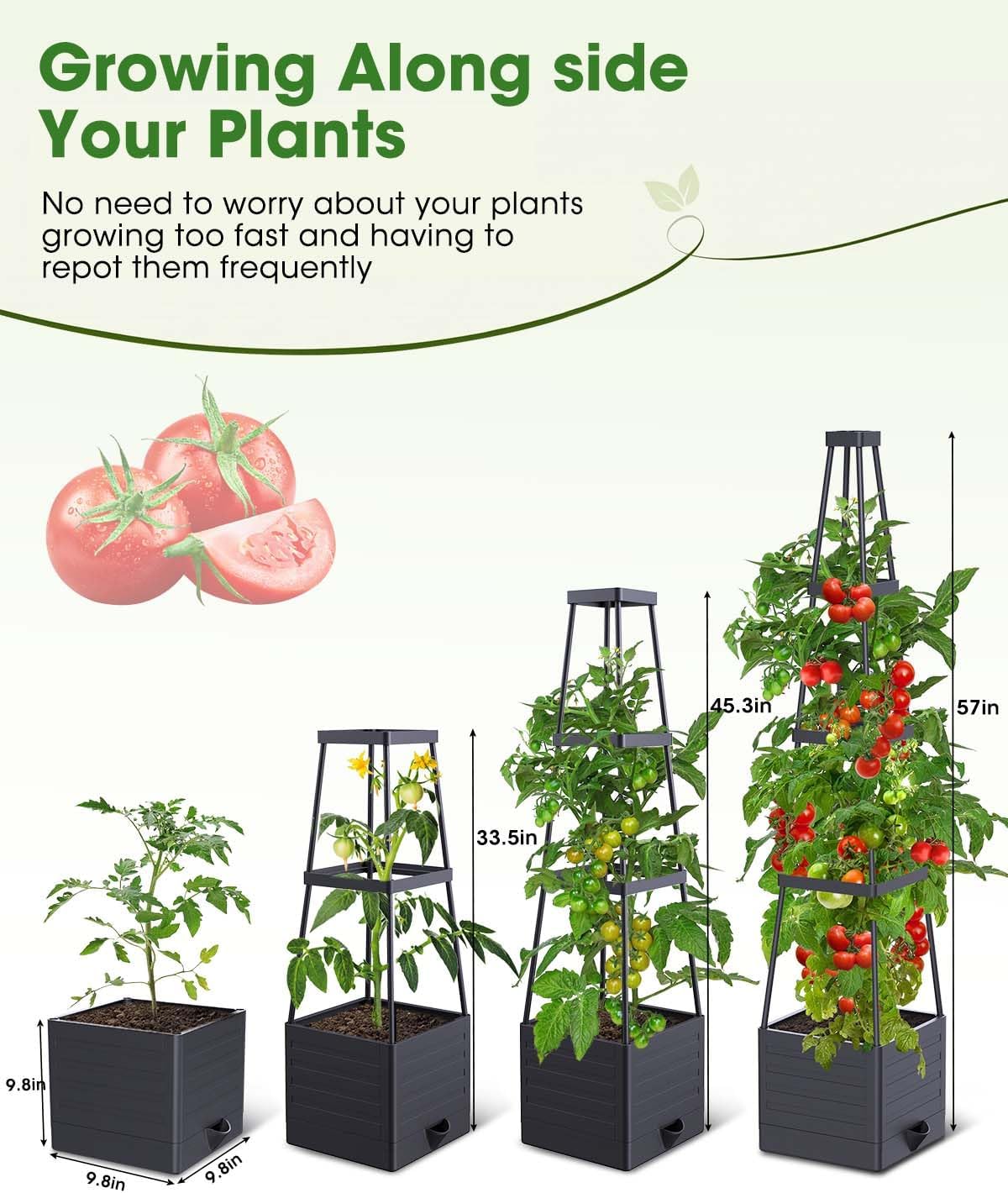 MYMULIKE 2 Pack Raised Garden Bed Planter Box with Trellis, 58” Tomato Cage Planter Raised Garden Bed with Trellis for Climbing Vegetables Plants Tomato Cage w/Self-Watering, Indoor Outdoor Use