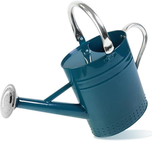 1 Gallon Metal Watering Can with Removable Spout, Nice Galvanized Steel Water Can with Embossed Design for Indoor and Outdoor Plants (Ocean Blue)