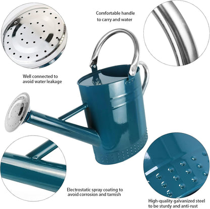1 Gallon Metal Watering Can with Removable Spout, Nice Galvanized Steel Water Can with Embossed Design for Indoor and Outdoor Plants (Ocean Blue)