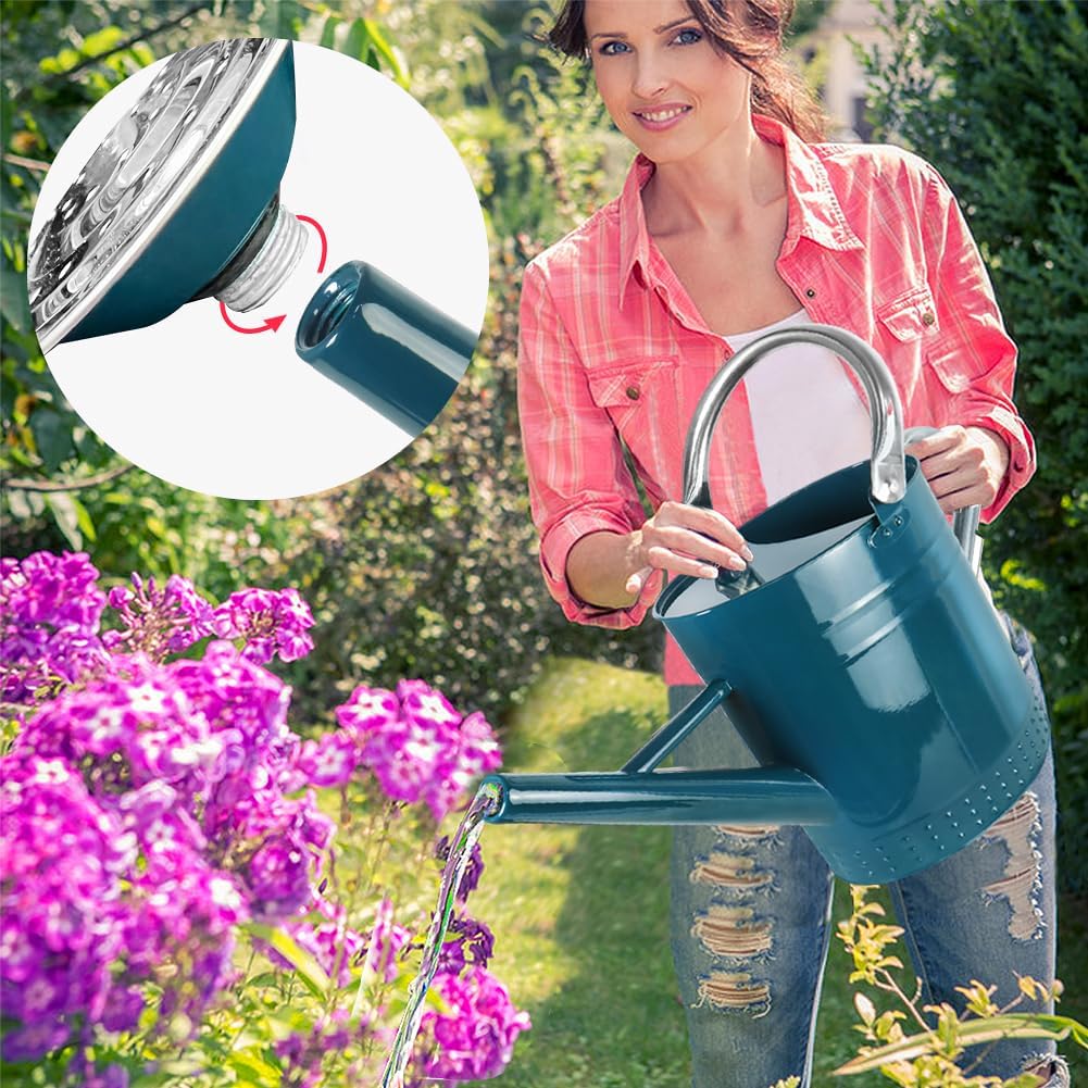 1 Gallon Metal Watering Can with Removable Spout, Nice Galvanized Steel Water Can with Embossed Design for Indoor and Outdoor Plants (Ocean Blue)