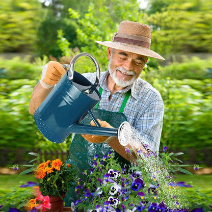 1 Gallon Metal Watering Can with Removable Spout, Nice Galvanized Steel Water Can with Embossed Design for Indoor and Outdoor Plants (Ocean Blue)